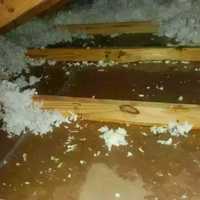 Attic Water Damage in Medford, NY