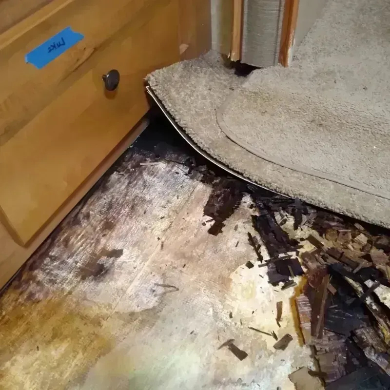 Best Wood Floor Water Damage Service in Medford, NY